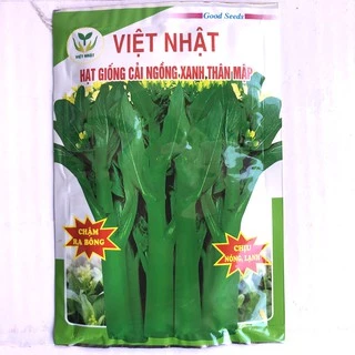 Hạt giống cải ngồng xanh Thân mập [ Hàng chât lượng - Tỷ lệ nảy mầm cao ]