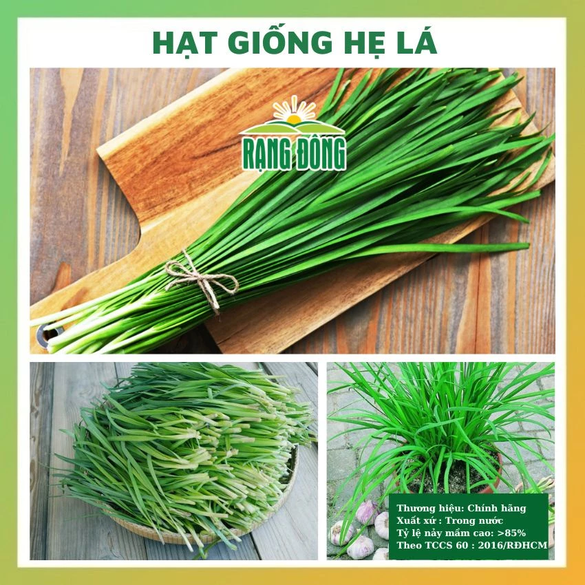 Hạt giống hẹ rau củ quả trông chậu chịu nhiệt 4 mùa tỉ lệ nảy mầm cao 1gr RADO 083