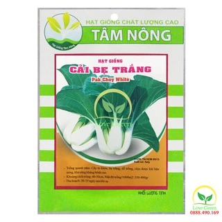 Hạt Giống Cải Bẹ Trắng