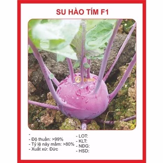 Hạt Giống Su Hào Tím 0.5gr