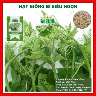 Hạt giống bí siêu ngọn giòn ngọt - rau củ quả trồng tại nhà, sân vườn ban công tỉ lệ nảy mầm cao 20gr RADO 099