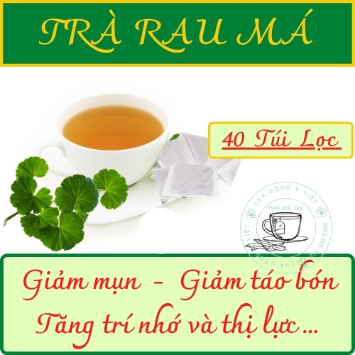 TRÀ RAU MÁ - 40 Túi Lọc tiện lợi, Tra Dong Y viet