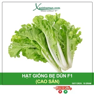 Hạt Giống Cải Bẹ Dún Phú Nông Gói 10 Gram