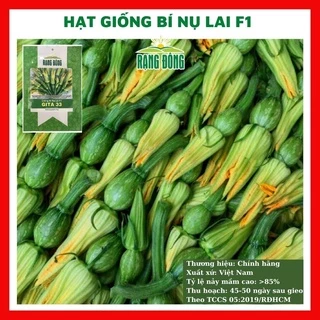 Hạt giống bí nụ lai F1 giòn ngon - rau củ quả trồng chậu, sân vườn ban công tỉ lệ nảy mầm cao 0.5gr GITA 33