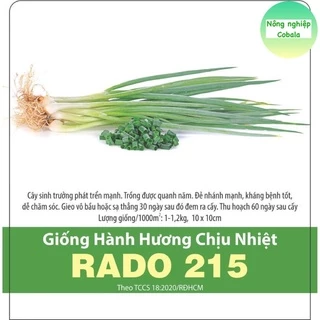 Hạt Giống Hành Hương (RADO215) Chịu Nhiệt 2gr