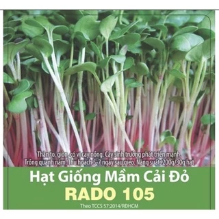 Hạt giống mầm cải đỏ gói 100gram Rạng đông