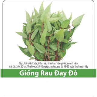 Hạt Giống Rau Đay Đỏ Dễ Trồng, Nhiều Dinh Dưỡng 10gr