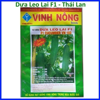 Hạt Giống Dưa Leo Lai F1 (1g), xuất xứ Thái Lan