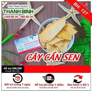 Cây Cần Sen Khô 1Kg Loại 1 - Thảo Dược Thanh Bình