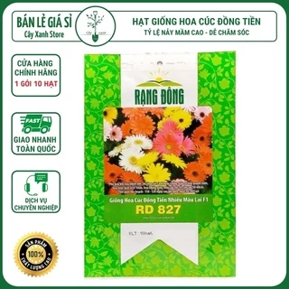 Hạt Giống Hoa Cúc Đồng Tiền Nhiều Màu - Trồng Hoa Bằng Đất Sạch, Mùn Dừa, Phân Bón Hữu Cơ