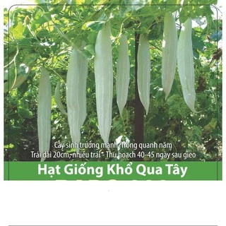 Hạt Giống Khổ Qua Tây Sai Trái, Giàu Dinh Dưỡng 2gr