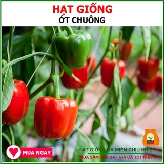 Hạt Giống Ớt Chuông Ớt Ngọt 0.5gram