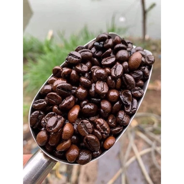 5KG CÀ PHÊ NGUYÊN CHẤT ROBUSTA S18 RANG BƠ