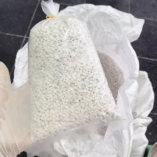 [100g] Đá perlite trồng sen đá