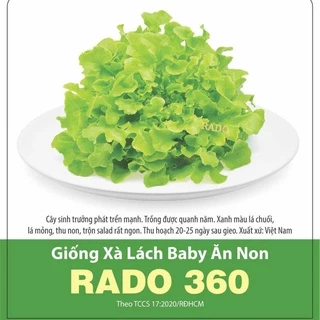 Hạt giống Xà lách baby ăn non Rado 360 (10g) Rạng Đông | VTNN Cần Thơ