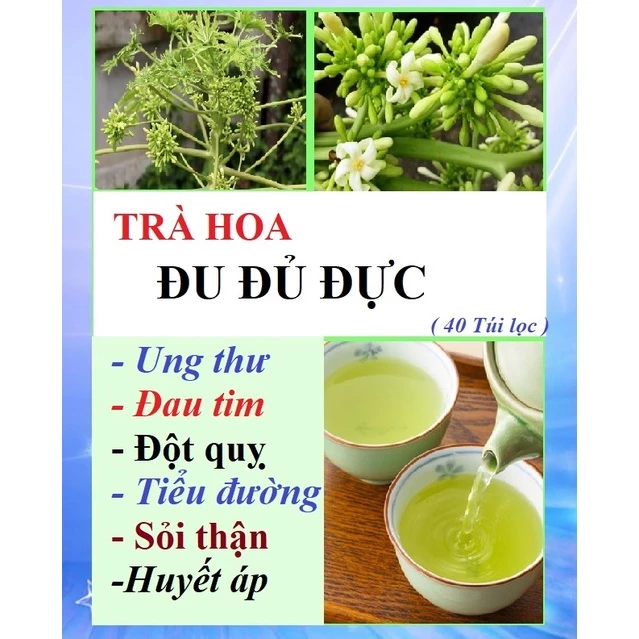 Trà HOA ĐU ĐỦ ĐỰC -  40 túi lọc