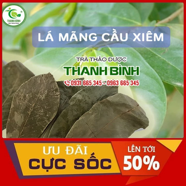 Lá Mãng Cầu Xiêm 500g Chất Lượng Hàng Loại 1 - Thảo Dược Thanh Bình