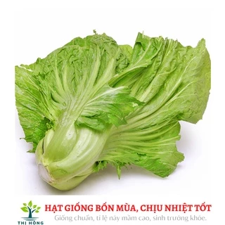 Hạt giống cải bẹ dưa 20g (thân cuống dày, có vị nhặng, mùi thơm đặc trưng)