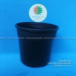 Chậu nhựa cứng 12x11cm – Chậu cứng, dày chất lượng trồng sen đá và cây hoa nhỏ, ươm lan kiếm, lá kiểng