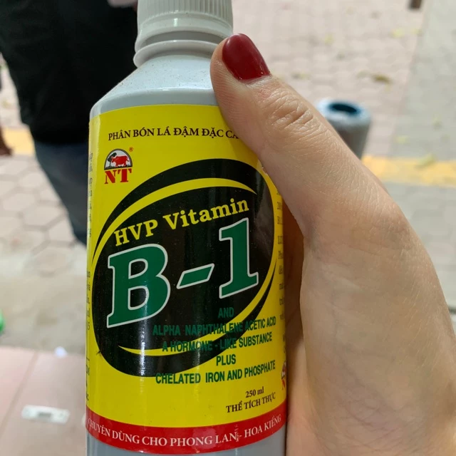 Phân bón lá Cao cấp, đậm đặc vitamin B1 HVP chai 250ml