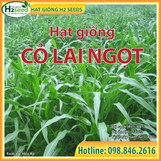 Hạt giống cỏ Lai Ngọt - gói 200g siêu năng suất dùng trong chăn nuôi trâu, bò, cá, thỏ...