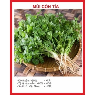 Hạt Giống Mùi Cồn Tía 20gr