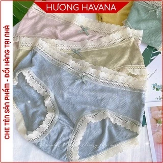 Quần lót nữ cotton gân xước siêu nhẹ thoáng Havana FLQ167