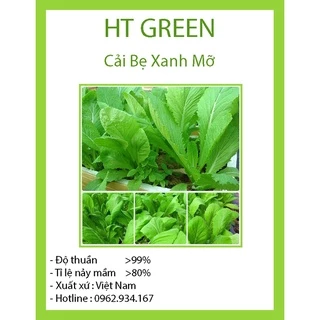 Hạt giống Cải Bẹ Xanh Mỡ