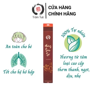 Nhang Sạch Trầm Hương TRẦM TUỆ, Cao Cấp, 100% Tự Nhiên, Ít Khói, Không Hóa Chất Độc Hại, Không Cuốn Tàn - Hộp 50 Nén