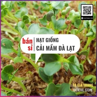 [Bán sỉ] - Hạt giống rau mầm cải xanh Đà Lạt