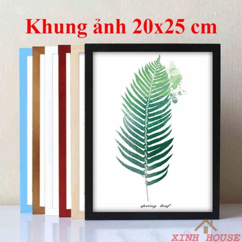 Khung Ảnh Treo Tường 20x25 cm - Bảo Hành Gãy, Vỡ