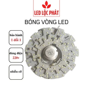 Bóng vòng led ốp trần 12w 18w 24w