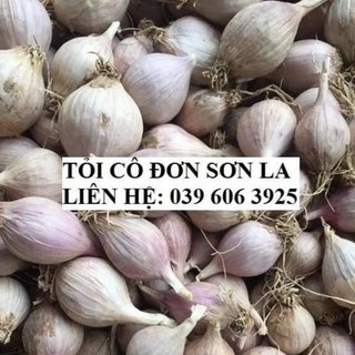 Tỏi Cô Đơn Phù Yên Sơn La Chuẩn xịn 500g/1kg