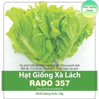 Hạt Giống Xà Lách Cao Sản 10gr