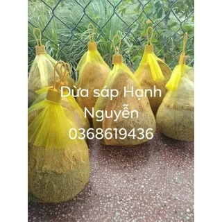 Dừa Sáp Đặc Sản Trà Vinh