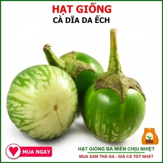 1G - Hạt Giống Cà Dĩa Da Ếch