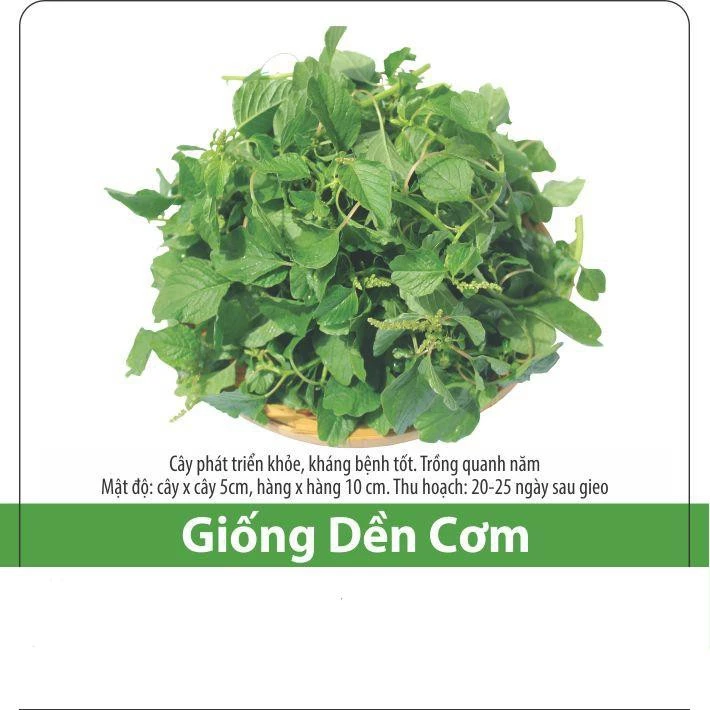 Hạt Giống Rau Dền Cơm 10gr