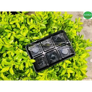 Hộp nhựa 6 ngăn vuông đế đen HT530 ( set 10 cái )