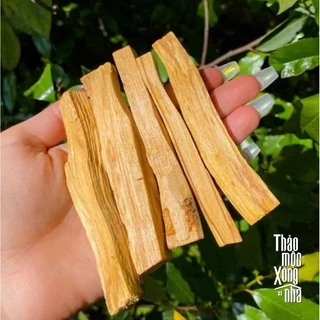 GỖ PALO SANTO PERU_Thanh Tẩy Năng Lượng_THẢO MỘC XÔNG NHÀ