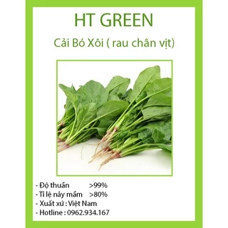 Hạt giống Cải Bó Xôi hạt TXBTD