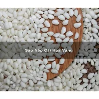 Nếp Cái Hoa Vàng ( Nếp Bắc) 1KÝ