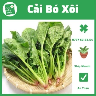 Hạt Giống Cải Bó Xôi (5gr), Nảy Mầm Chuẩn Trên 90%