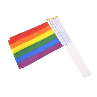 Combo 2 lá Cờ LGBT, cờ cầu vồng vãy tay, trang trí 14 x 21