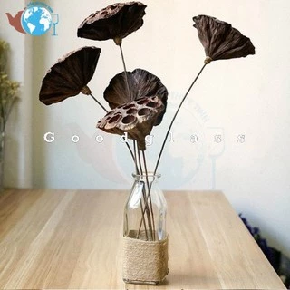 Bình bông lọ cắm hoa thuỷ tinh hình vuông tặng kèm 50CM dây dừa trang trí