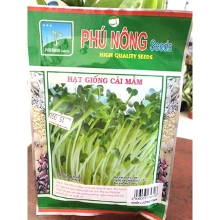 HẠT GIỐNG CẢI MẦM SIÊU NĂNG SUẤT gói 50gr