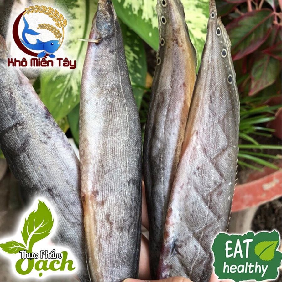 Khô Cá Chạch Đồng Loại 1 tự nhiên ( Không ship Miền Bắc) , ướp vị vừa ăn, thơm ngon- Đặc sản Khô Miền Tây