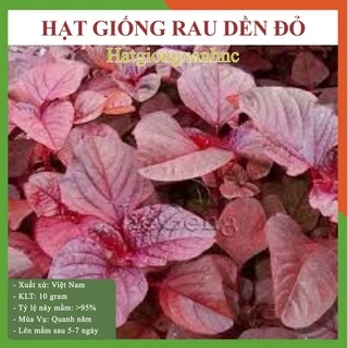 GÓI 10 GRAM HẠT GIỐNG RAU DỀN ĐỎ