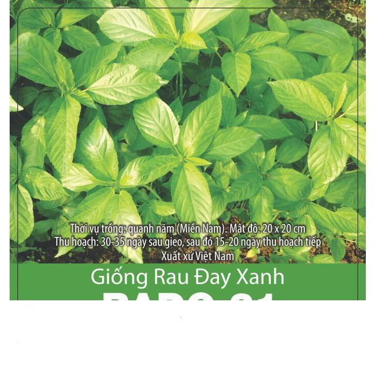 Hạt Giống Rau Đay Xanh Dễ Trồng, Nắng Suất Gói 10gr