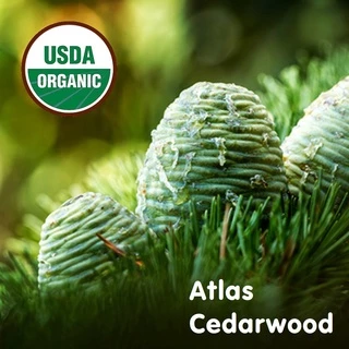 USDA Organic Tinh dầu gỗ Hoàng đàn Atlas Cedarwood Essential Oil