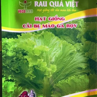 Hạt giống cải bẹ mào gà Rau Quả Việt - 6,5k/ gói 20g